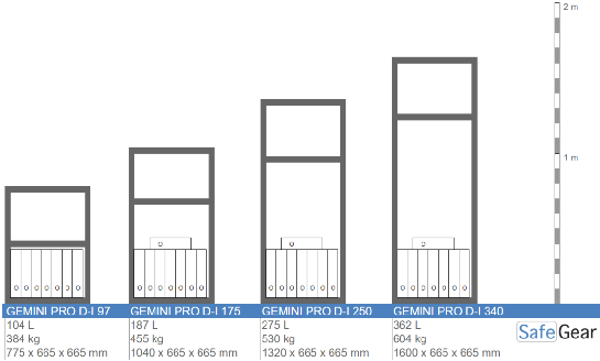 Gemini Pro D-I 250 size illustration